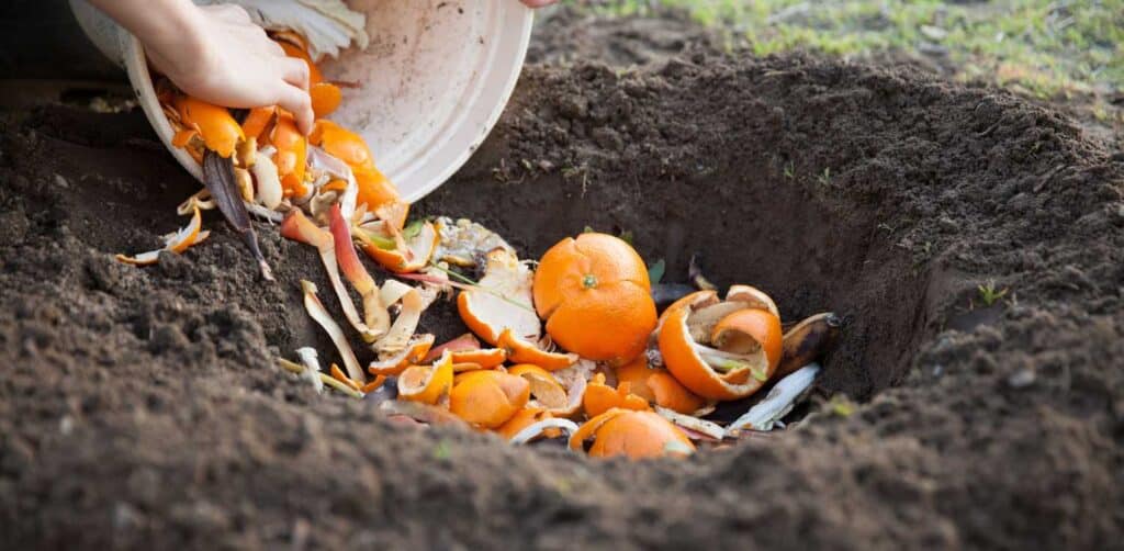 Composting guide for beginners